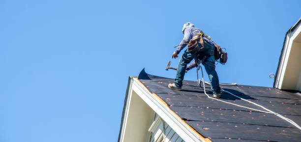 Best Roof Gutter Cleaning  in Quanah, TX